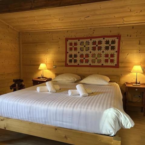 Chalet Des Belles Roches, 14 Pers, Garden, Sauna La Bresse Bagian luar foto